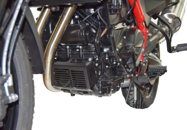 BMW F 700 GS Isotta kryt chladiča  farba - čierna - Image 2