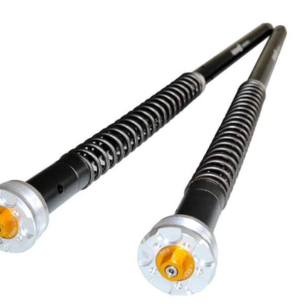 Triumph SCRAMBLER 1200 XC - (SHOWA 45) predné tlmiče Andreani Misano EVO 2